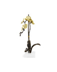 Michael Aram Gold Orchid Stem Sculpture