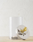 Michael Aram Pomegranate Silver & Gold Canister