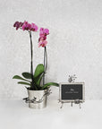 Michael Aram Black Orchid Cachepot