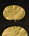 Michael Aram Botanical Leaf Shadow Box