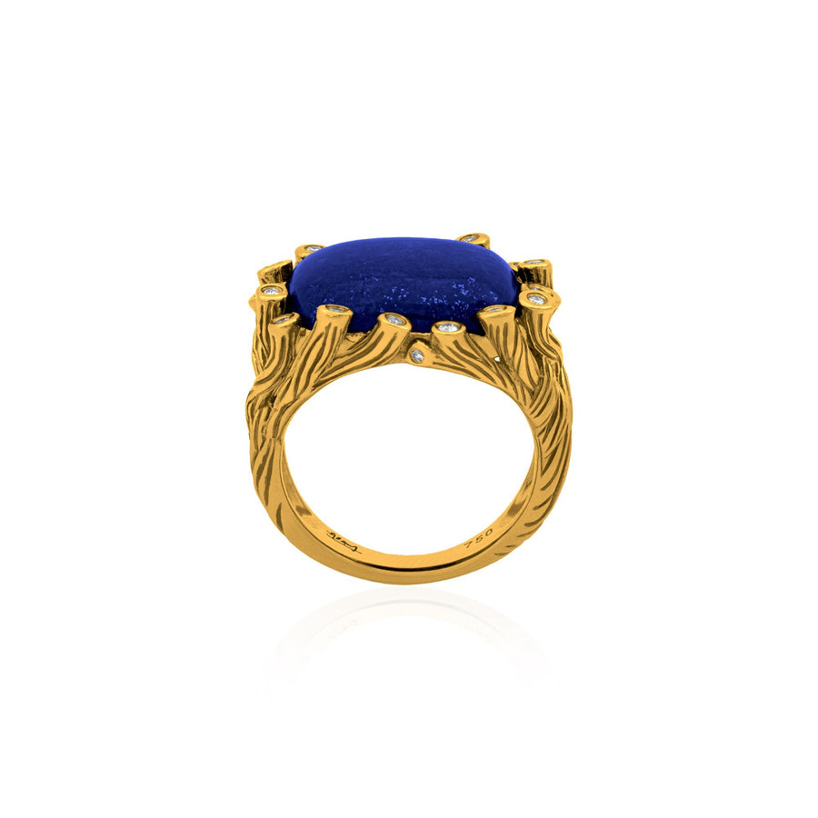 Michael Aram Enchanted Forest Ring with Lapis and Diamonds