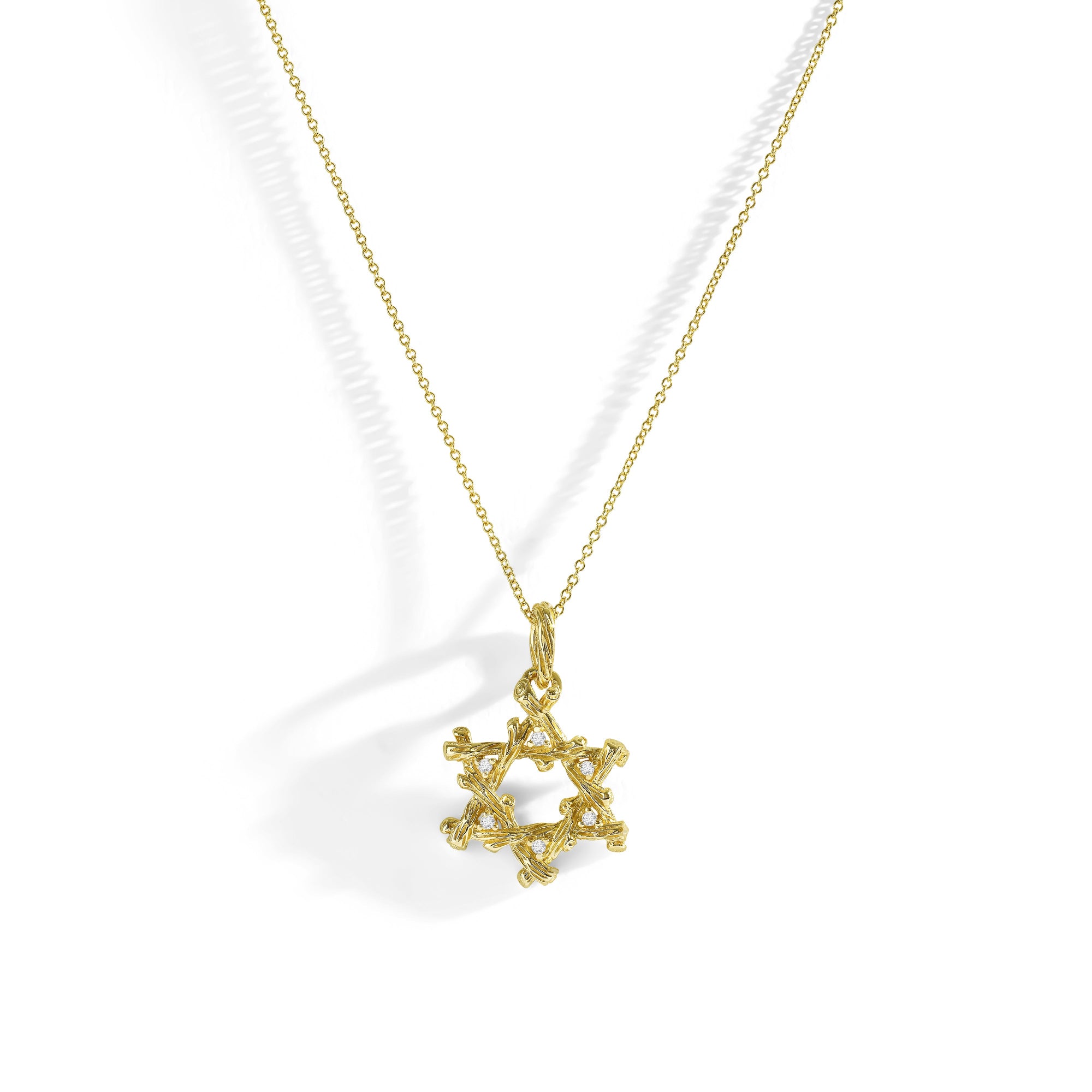 Michael Aram Enchanted Forest Star of David Pendant Necklace with Diamonds