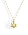 Michael Aram Enchanted Forest Star of David Pendant Necklace with Diamonds