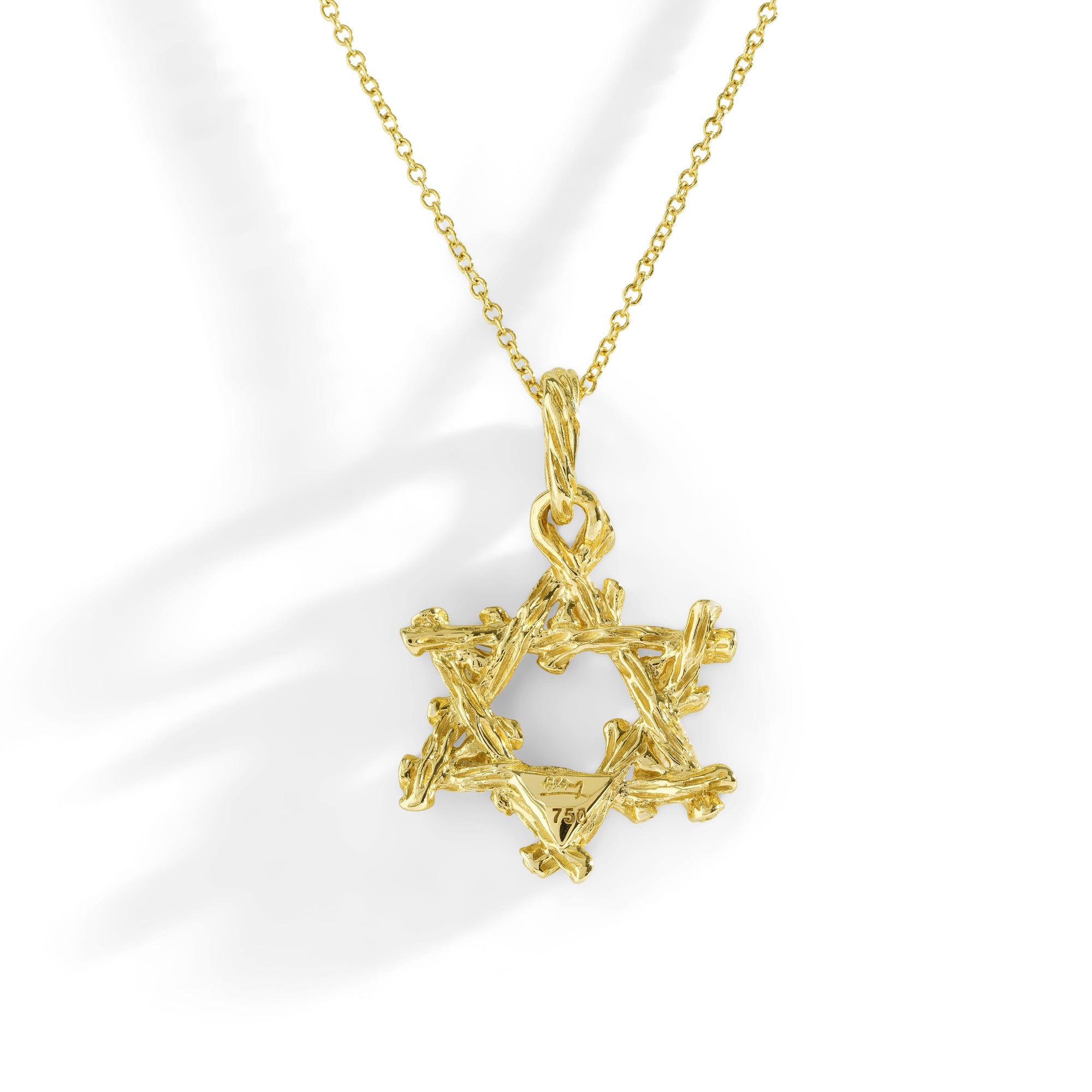 Michael Aram Enchanted Forest Star of David Pendant Necklace with Diamonds